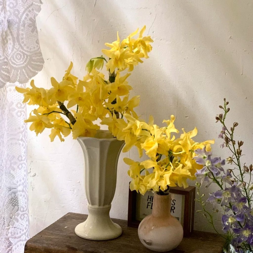 yellow orchid​-13-Dendrobium